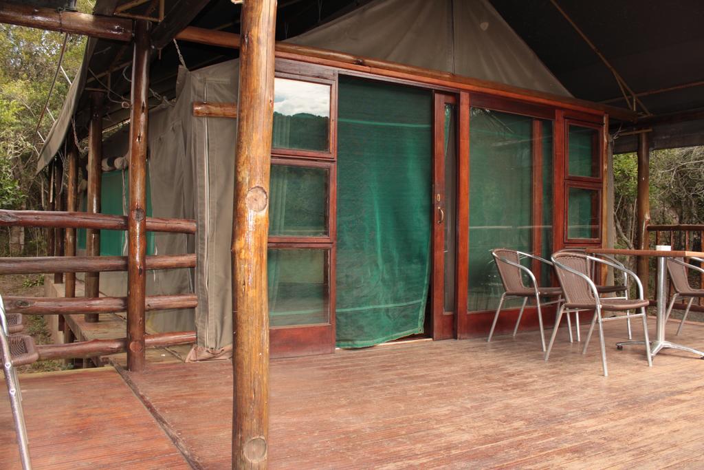 Inkwenkwezi Private Game Reserve Chintsa Room photo